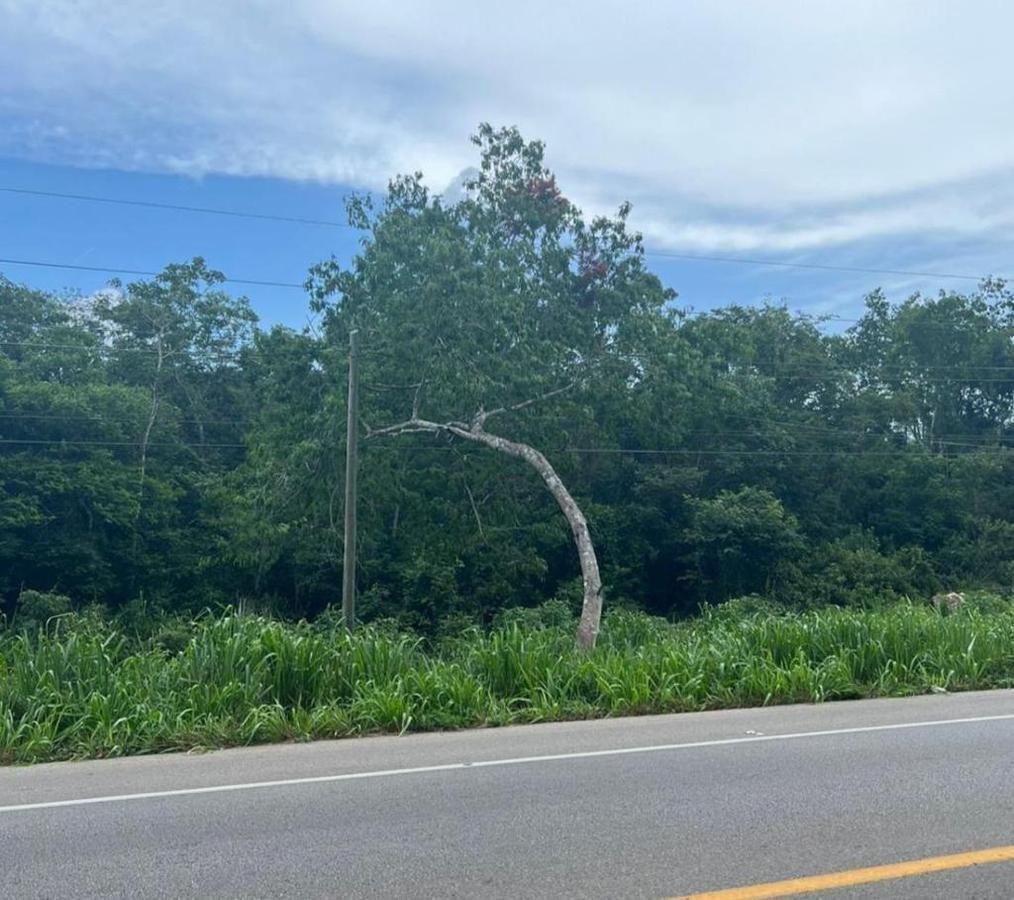 Land in Valladolid, Yucatan, Mexico 4 - 18006613