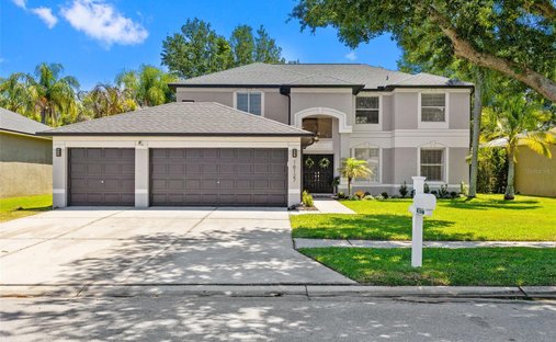 Casa en Odessa, Florida, Estados Unidos 1