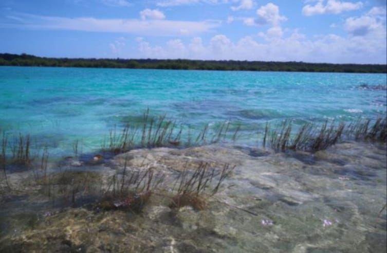 Land in Bacalar, Quintana Roo, Mexico 5 - 18006703