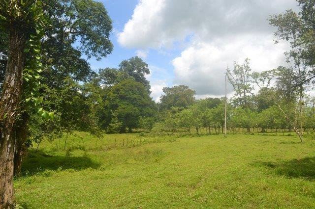 Land in Río Frío, Heredia Province, Costa Rica 2 - 18004675
