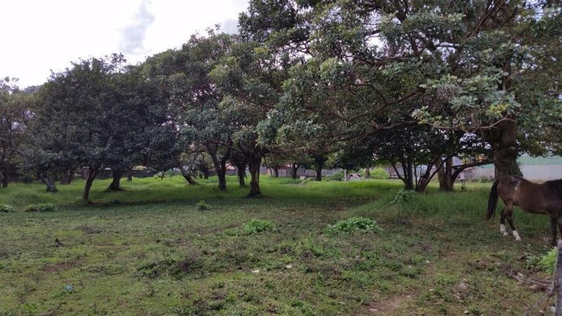 Land in Flores, Flores, Costa Rica 5 - 18004529