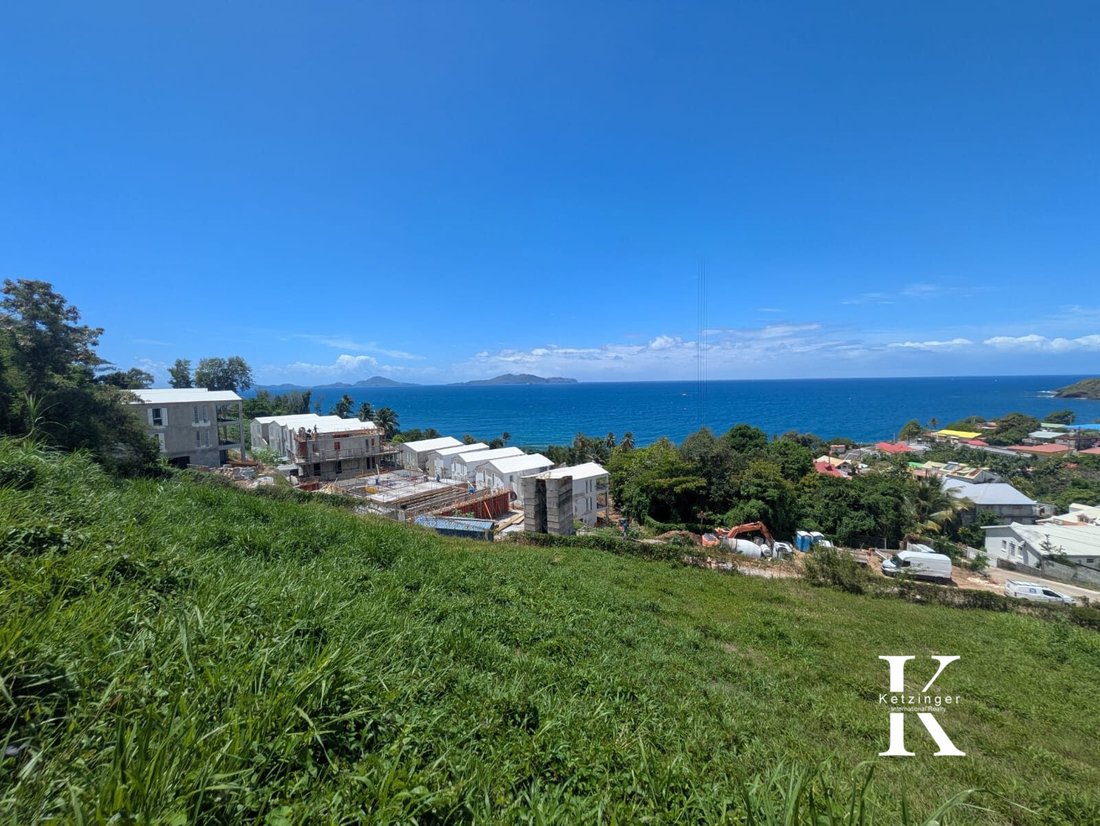 House in Trois-Rivières, Basse-Terre, Guadeloupe 2 - 18012158