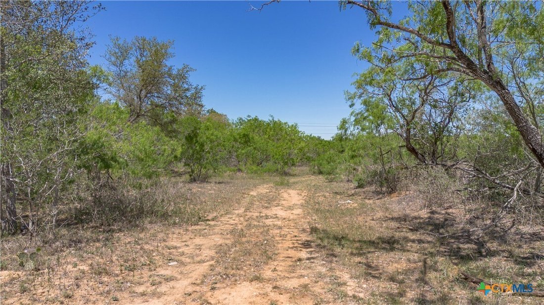 Land in Seguin, Texas, Vereinigte Staaten 5 - 18006636