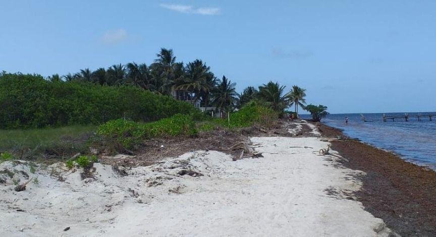 Land in Caracol, Quintana Roo, Mexico 1 - 18006593