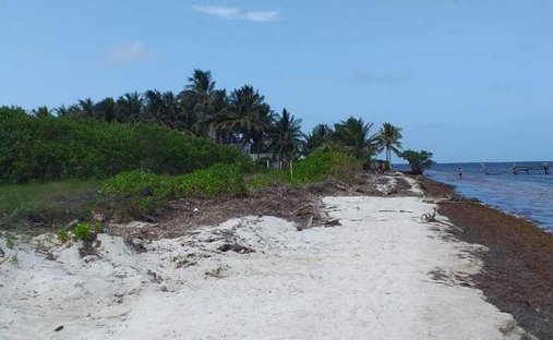 Terreno a Caracol, Quintana Roo, Messico 1
