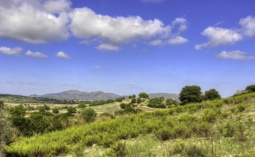 House in Sant Llorenc des Cardassar, Balearic Islands, Spain 1