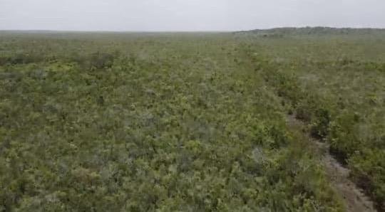 Land in Bacalar, Quintana Roo, Mexico 3 - 18006621