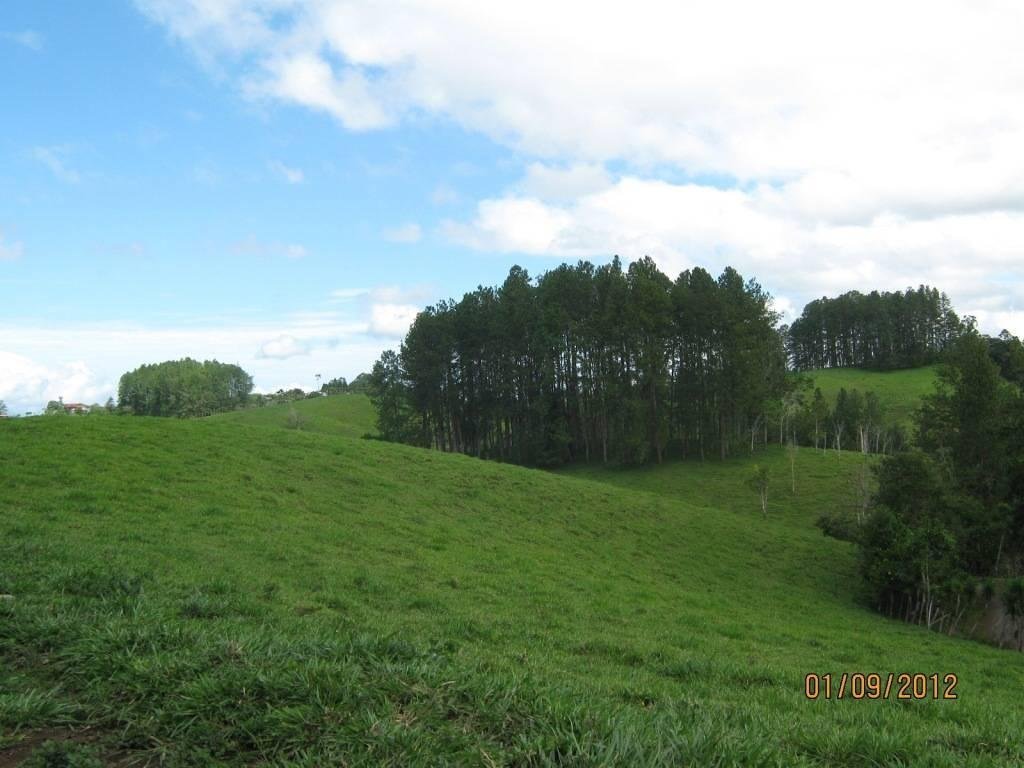 Farm Ranch in San Vito, Puntarenas Province, Costa Rica 2 - 18004782