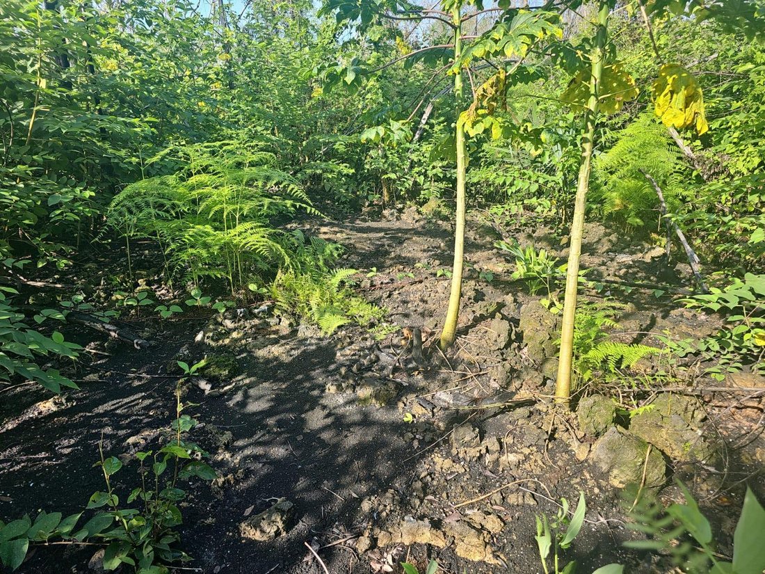Terreno a Santo Domingo, Quintana Roo, Messico 4 - 18006704