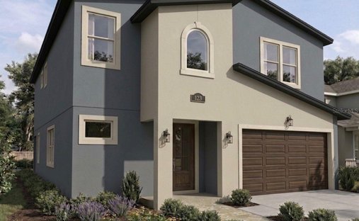 House in Tampa, Florida, United States 1