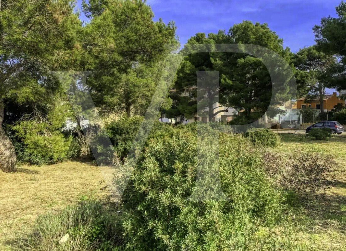 Land in Manacor, Balearic Islands, Spain 4 - 18009643
