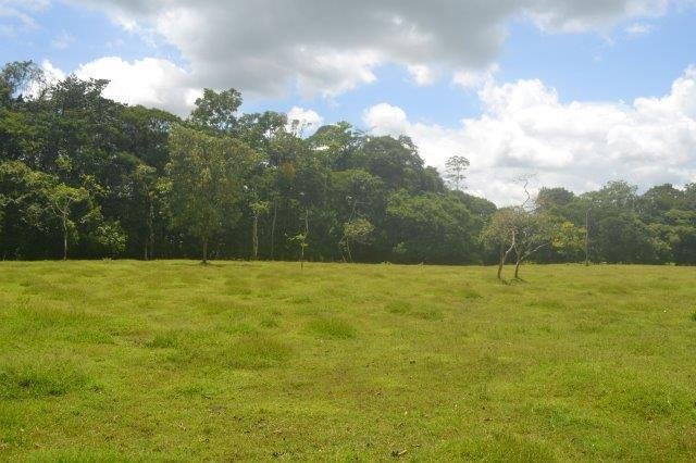 Land in Río Frío, Heredia Province, Costa Rica 5 - 18004675