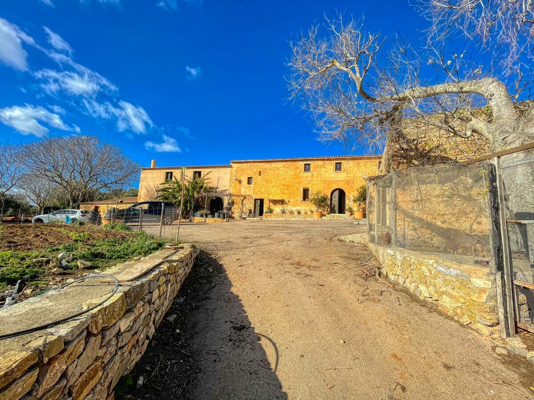 Finca in Arta, Balearic Islands, Spain 5 - 18010181