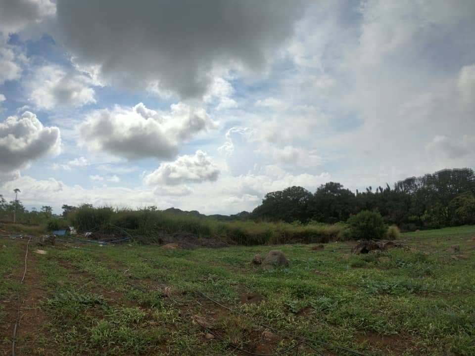 Land in San José, Guanacaste Province, Costa Rica 2 - 18004737