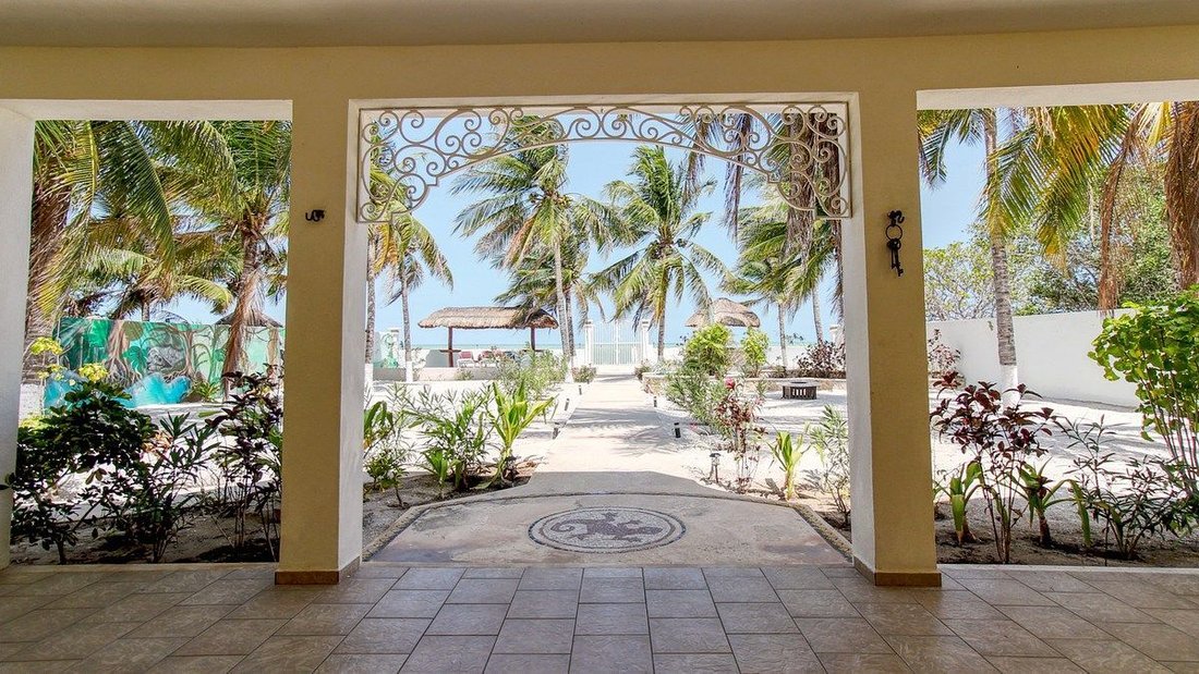 House in Celestún, Yucatan, Mexico 2 - 18006939