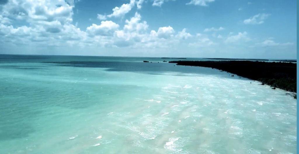 Land in Chetumal, Quintana Roo, Mexico 1 - 18006612