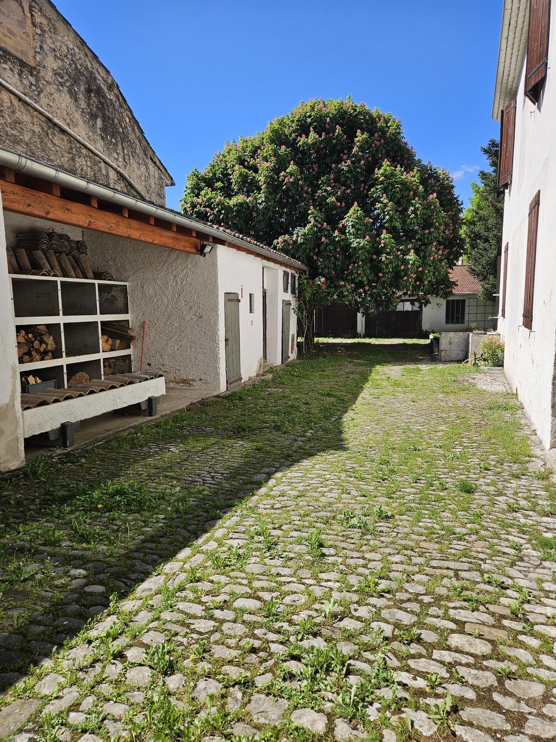 House in Die, Auvergne-Rhône-Alpes, France 3 - 18006412