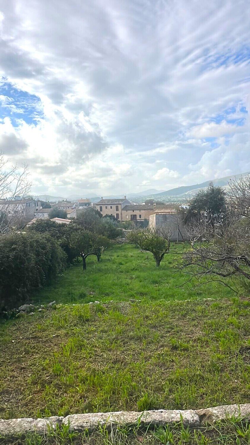 Land in Capdepera, Balearic Islands, Spain 1 - 18011287