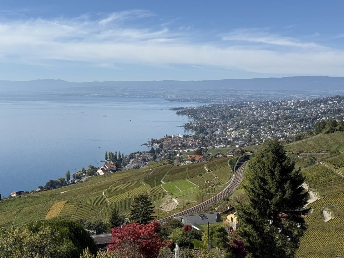 Wohnung in Bourg-en-Lavaux, Waadt, Schweiz 4 - 16415904