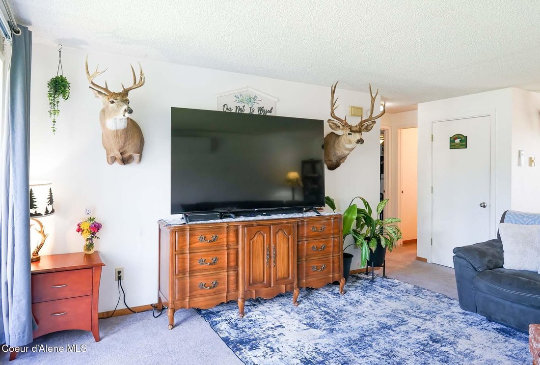Coeur d'Alene, Idaho, United States 5 - 18008143