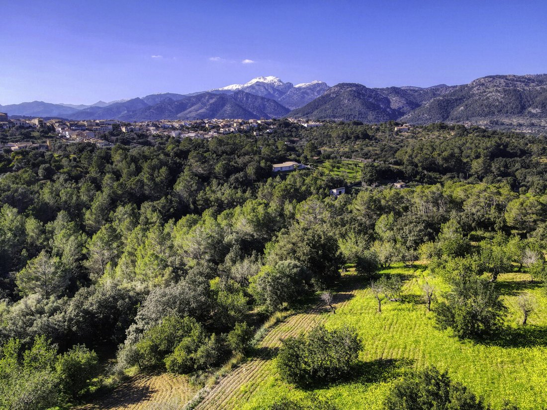 Land in Campanet, Balearic Islands, Spain 2 - 18009311