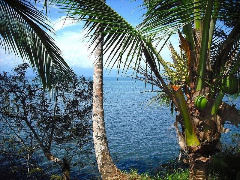 Land in Punta Laurel, Bocas del Toro Province, Panama 4 - 18004554