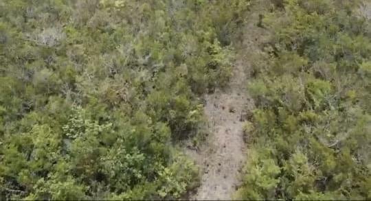 Land in Bacalar, Quintana Roo, Mexico 5 - 18006621