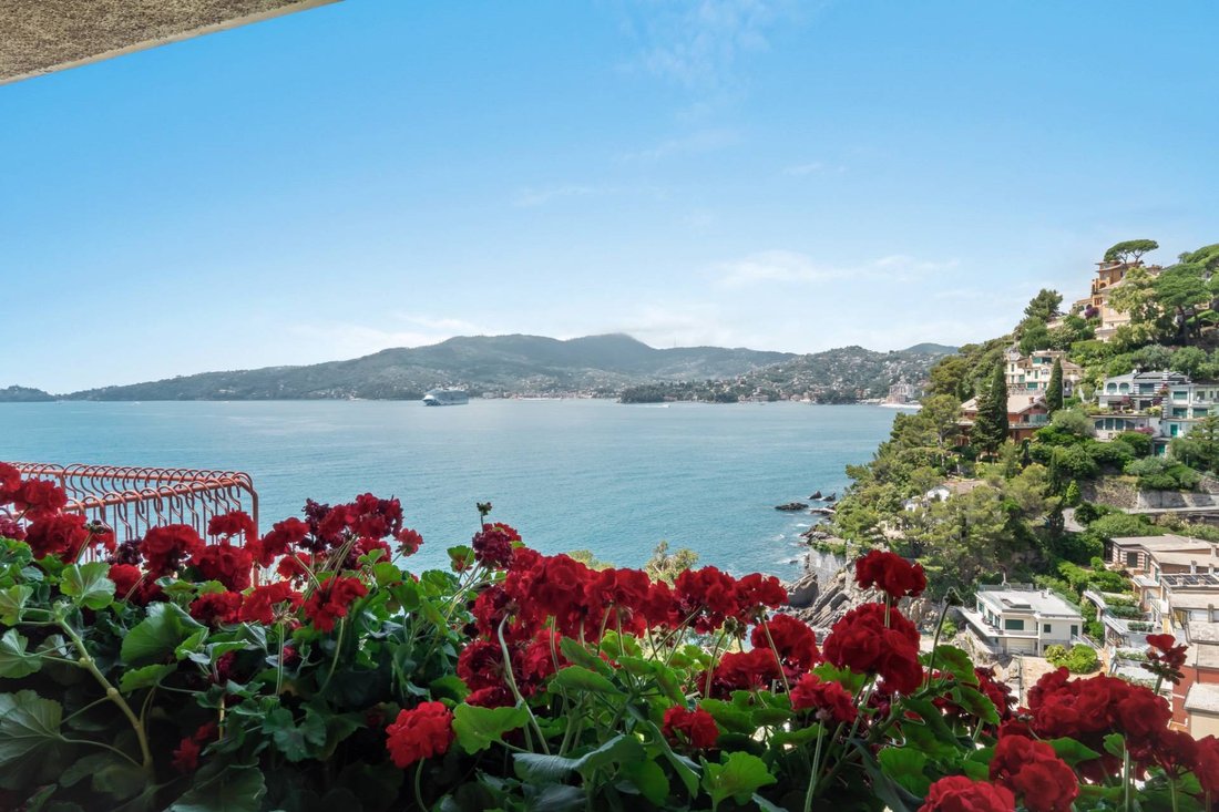 Apartment in Zoagli, Liguria, Italy 1 - 18012029