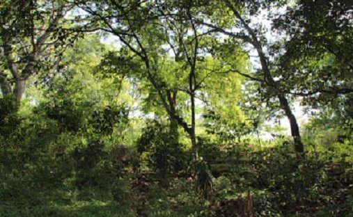 Land in San José, Guanacaste Province, Costa Rica 1
