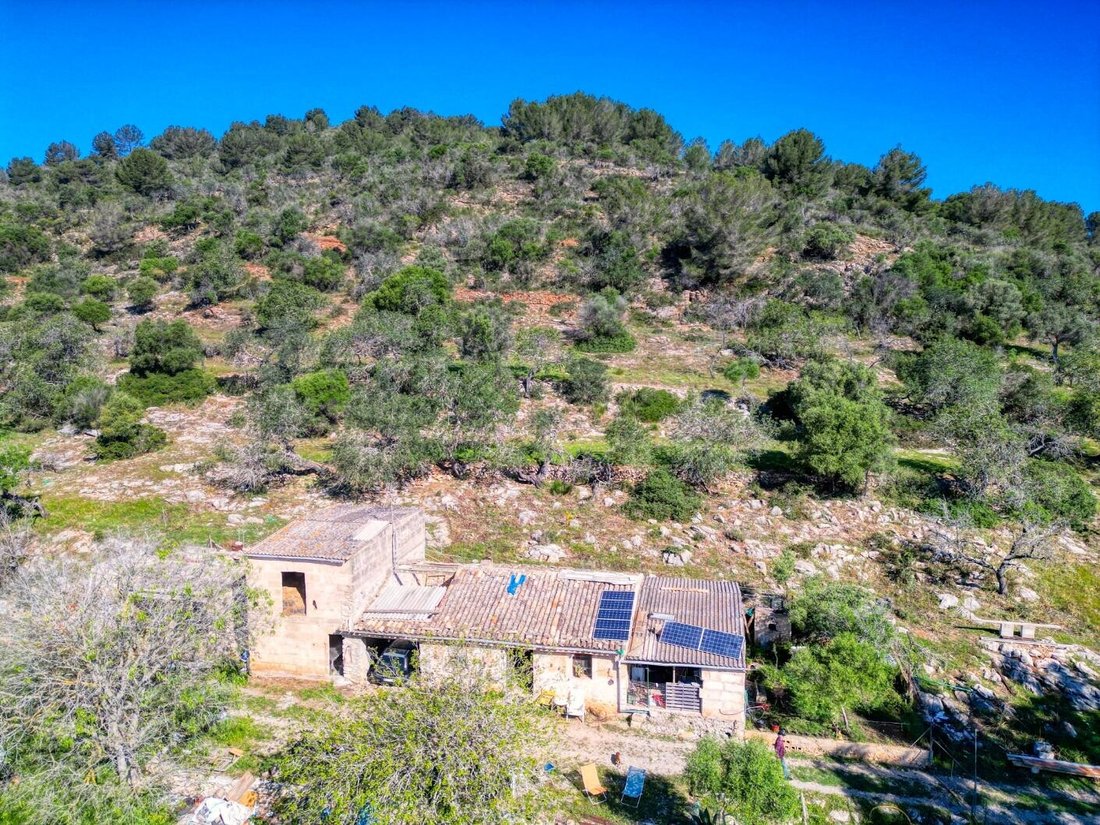 Land in Arta, Balearic Islands, Spain 4 - 18010748