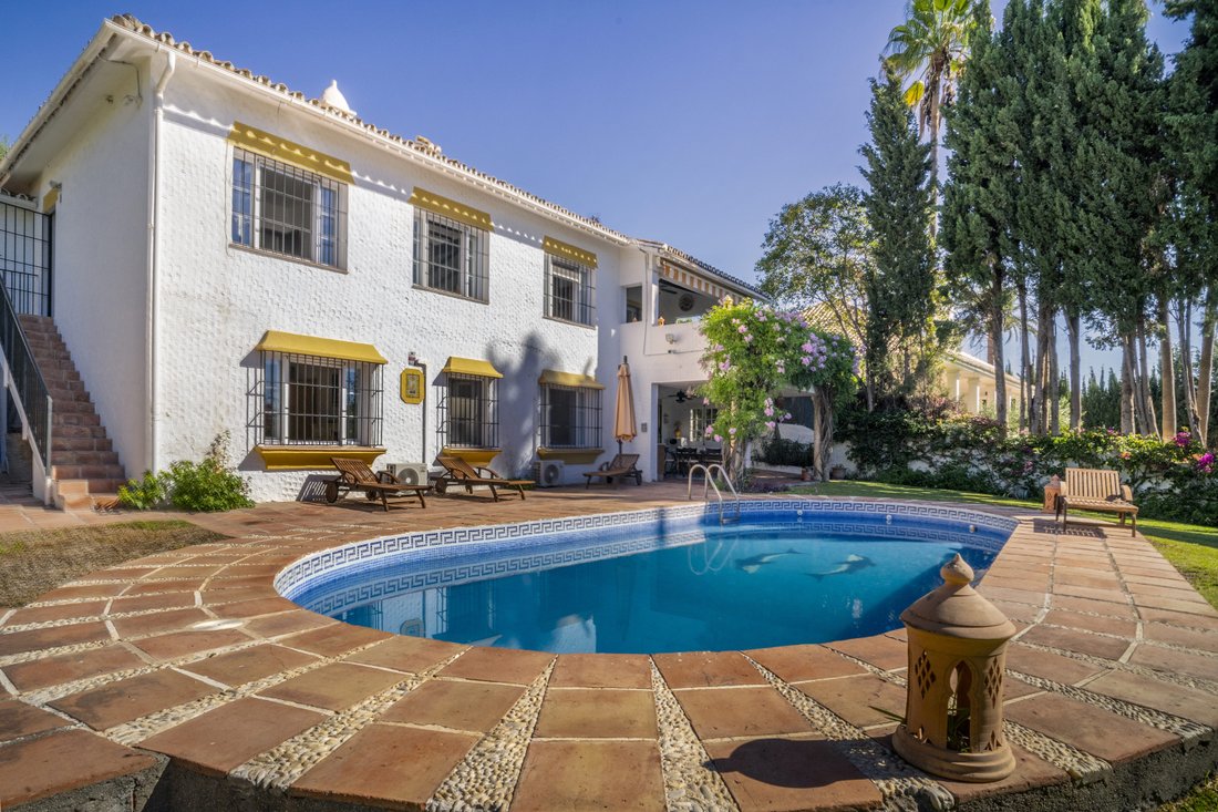 Villa in Guadalmina Alta, San Pedro de Alcantara, Spain 3 - 18007653