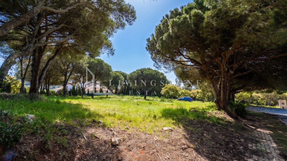 Land in Sotogrande, San Roque, Andalusia 4 - 18007669