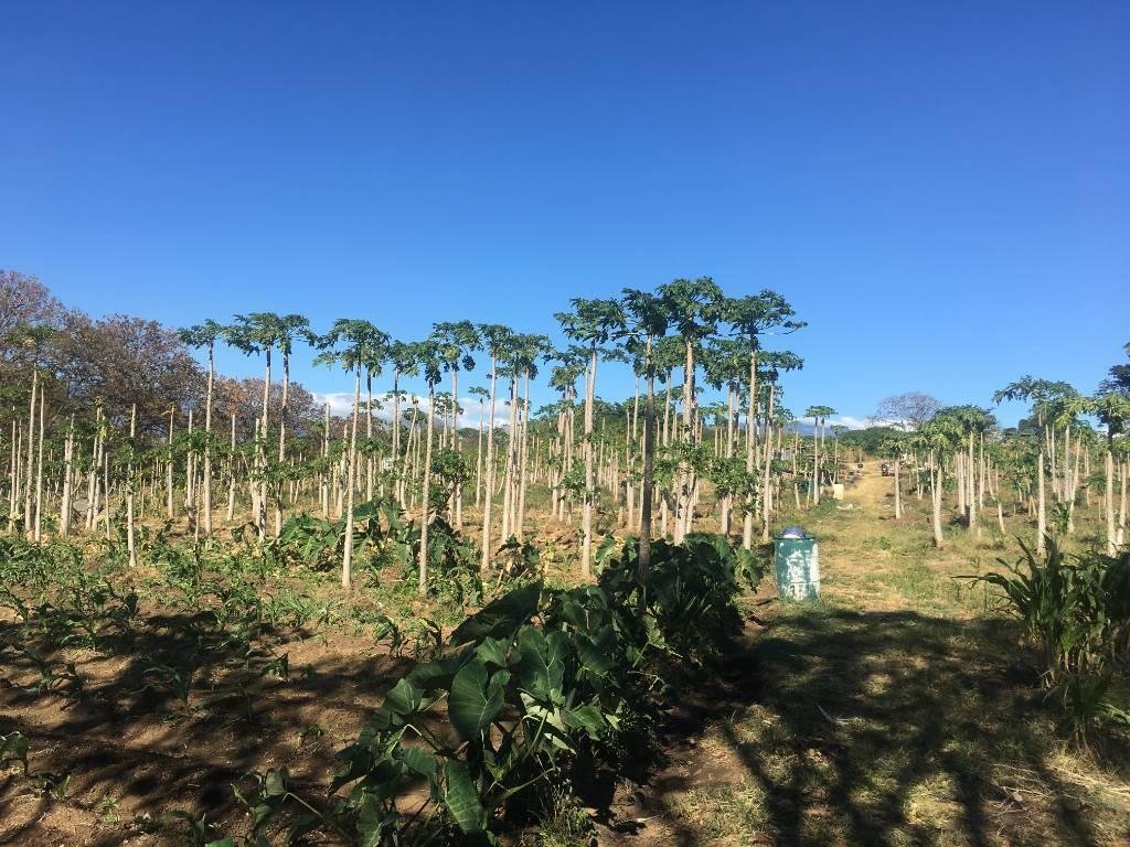 Land in San José, Guanacaste Province, Costa Rica 3 - 18004737