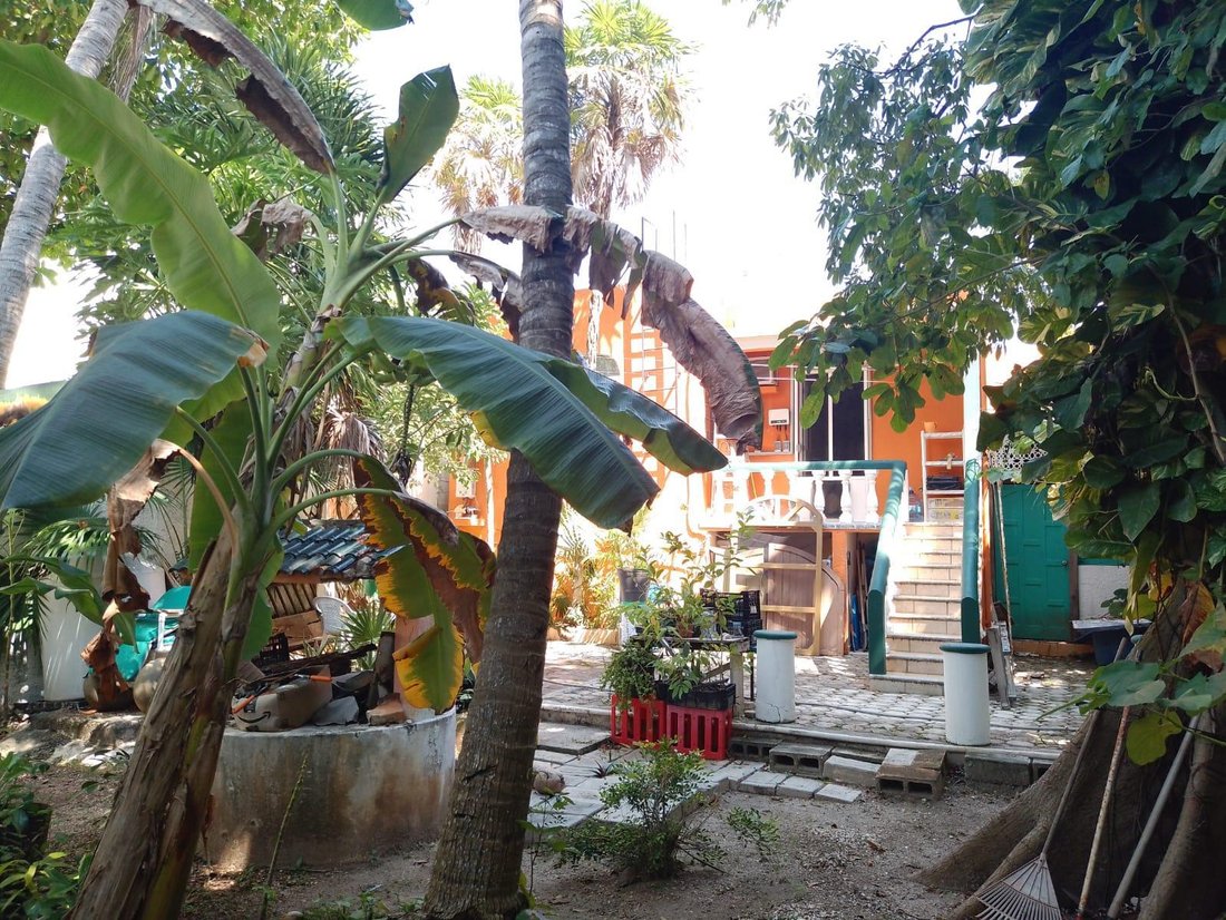 House in Cancún, Quintana Roo, Mexico 1 - 18006702