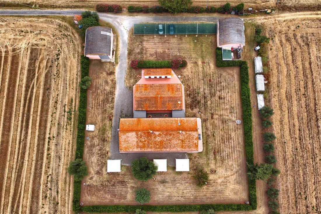 Country House in Castagneto Carducci, Tuscany, Italy 3 - 18004997