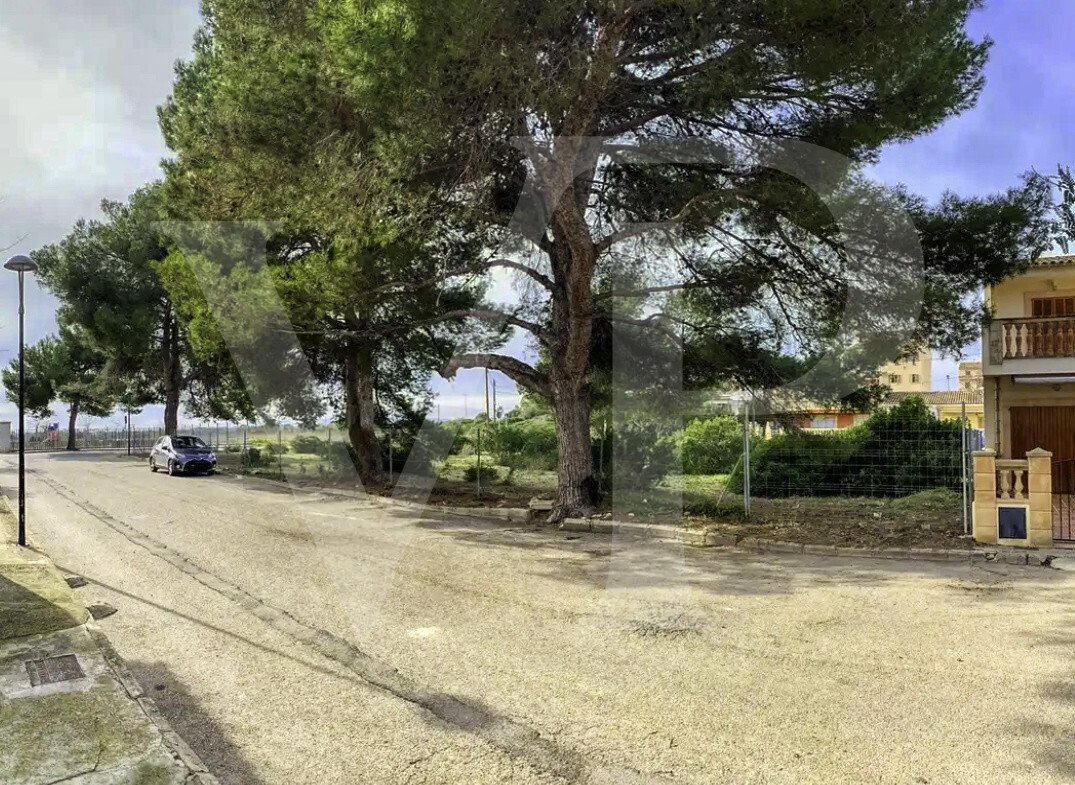 Land in Manacor, Balearic Islands, Spain 3 - 18009643