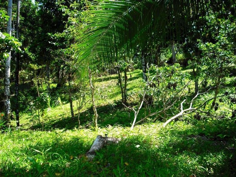 Land in Punta Laurel, Bocas del Toro Province, Panama 3 - 18004554