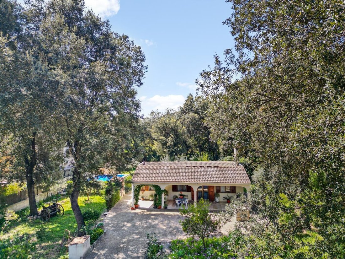 Villa in sa Pobla, Balearic Islands, Spain 2 - 18010739
