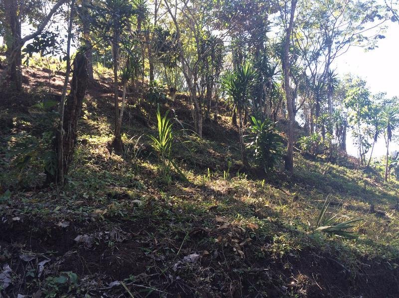 House in Mogote de Bagaces, Guanacaste Province, Costa Rica 5 - 18004563