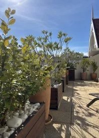 Apartment in Aiguillon, Arcachon, France 4 - 18008634