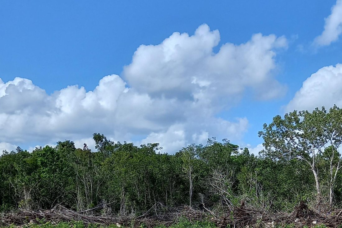 Land in Puerto Morelos, Quintana Roo, Mexico 1 - 18004937