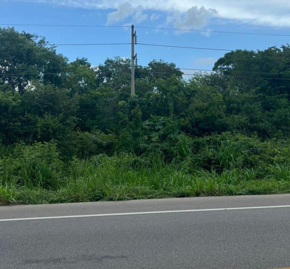 Land in Valladolid, Yucatan, Mexico 1 - 18006613