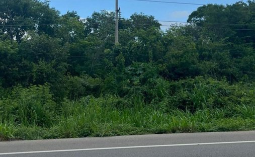 Land in Valladolid, Yucatan, Mexico 1