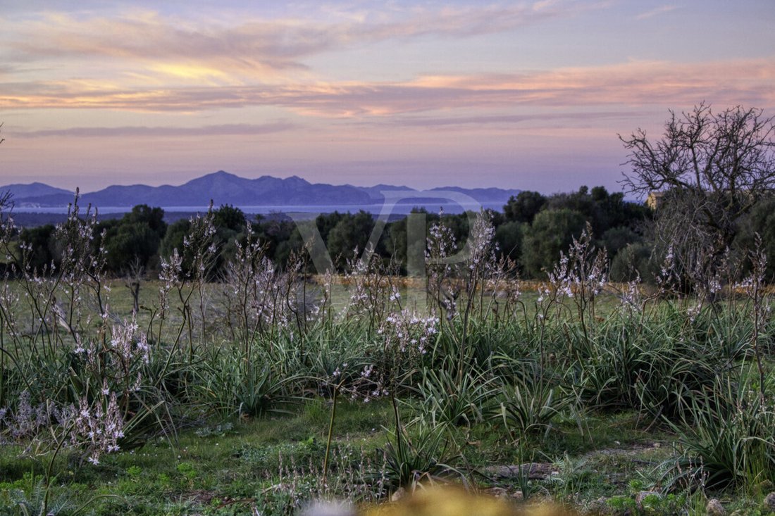 Land in Manacor, Balearic Islands, Spain 3 - 18008958