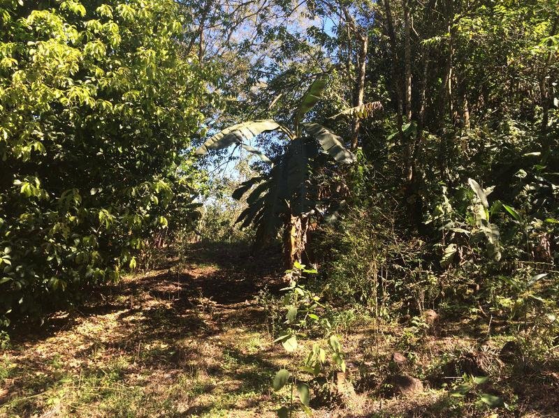 House in Mogote de Bagaces, Guanacaste Province, Costa Rica 3 - 18004563