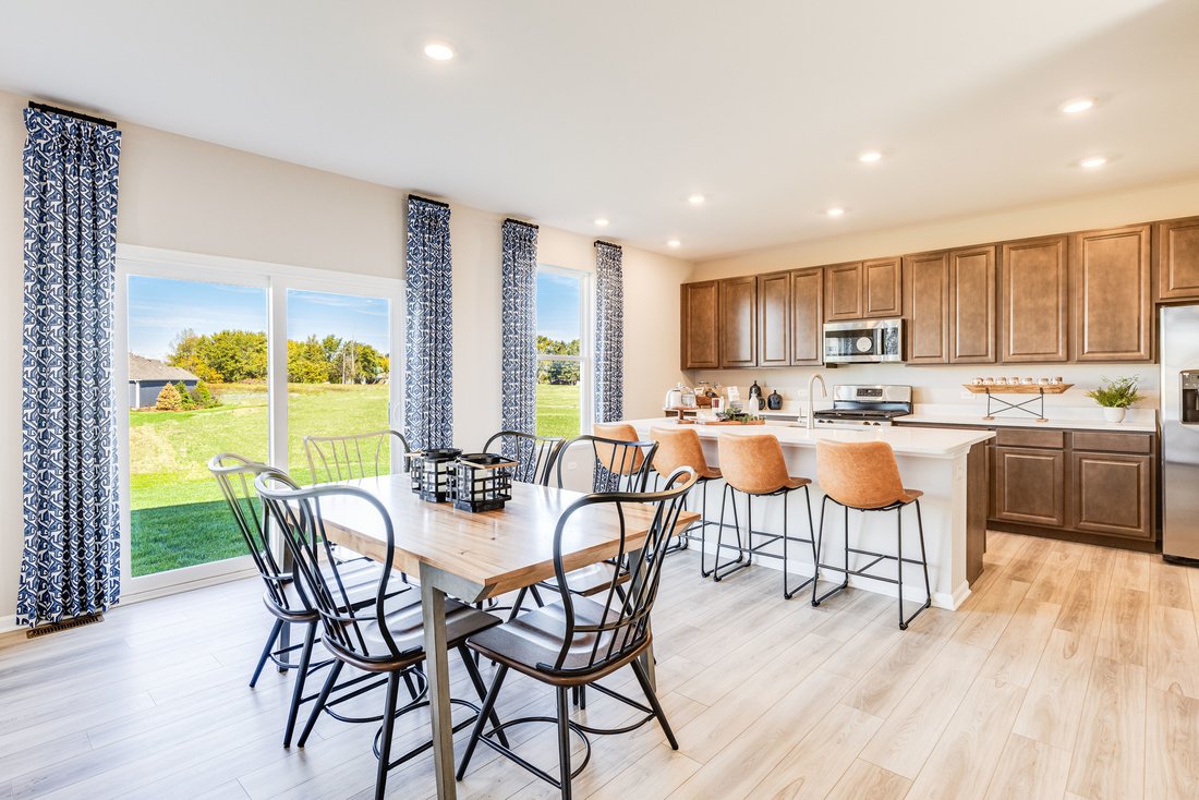 House in Minooka, Illinois, United States 4 - 18009354