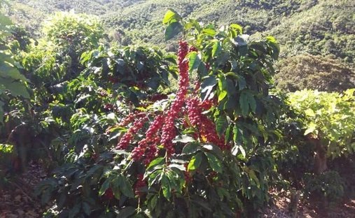 Land in Vara Blanca, Heredia Province, Costa Rica 1