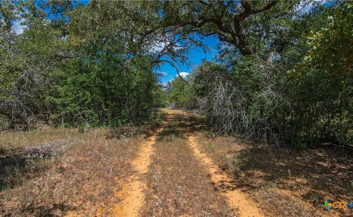 Farm Ranch in Stockdale, Texas, United States 1
