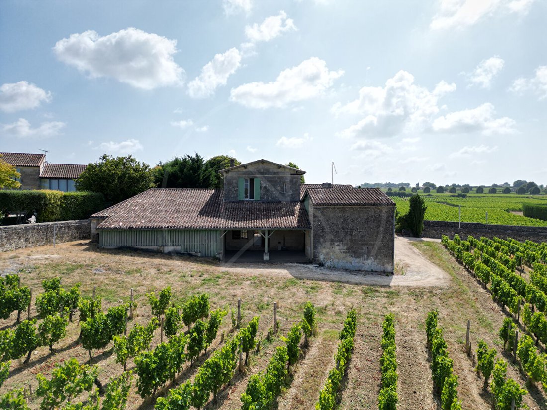 Villa in Saint-Émilion, Nouvelle-Aquitaine, France 3 - 18009345