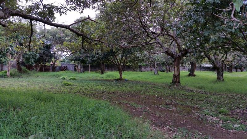 Land in Flores, Flores, Costa Rica 3 - 18004529